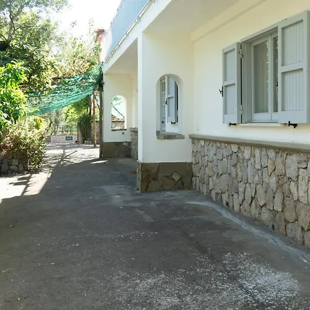 Alloro Massa Lubrense